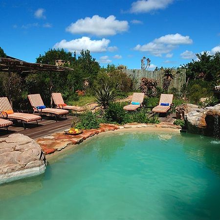 Kariega Game Reserve Bushman's River Mouth Exterior photo