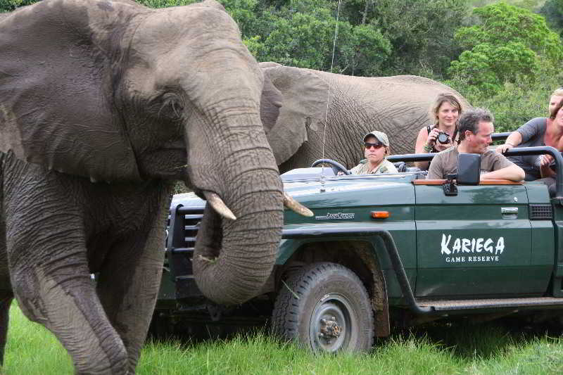 Kariega Game Reserve Bushman's River Mouth Exterior photo