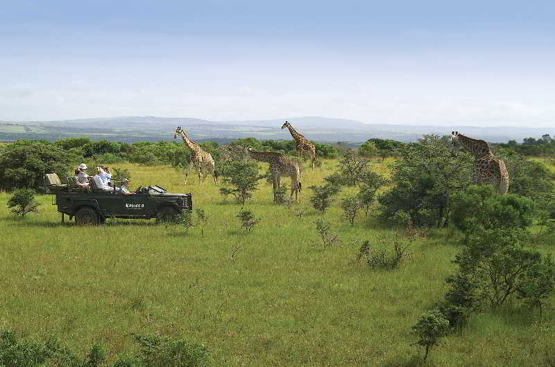 Kariega Game Reserve Bushman's River Mouth Exterior photo